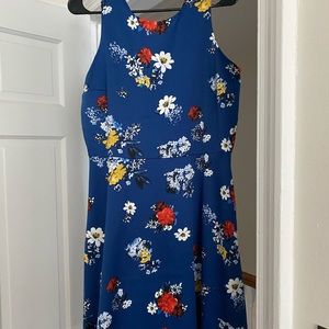 Banana republic blue dress  multi colored flowers